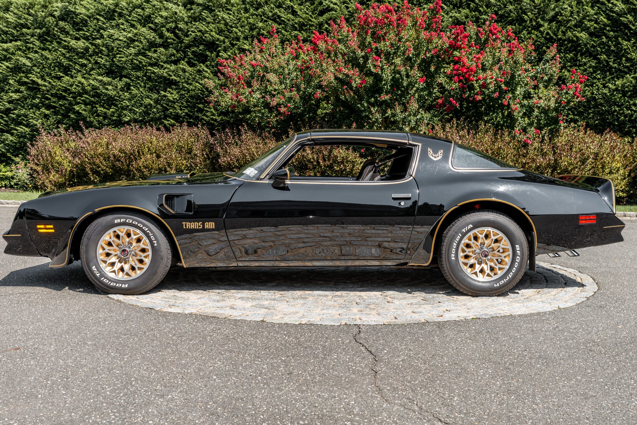 Black 1977 Pontiac Firebird Trans Am Special Edition side profile with gold wheels