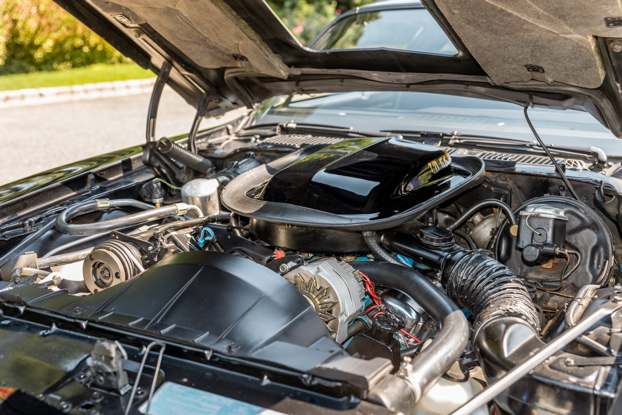 1977 Pontiac Firebird Trans Am W72 400 V8 engine bay and shaker scoop